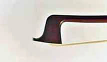 VN-Head